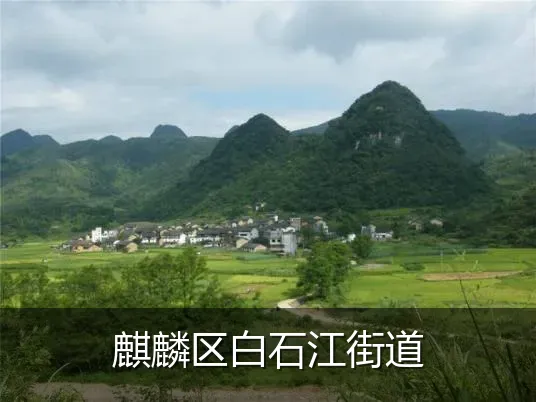 麒麟区白石江街道